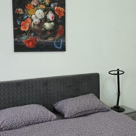 Apartament Casa Grande Făgăraş Zewnętrze zdjęcie